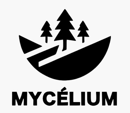 mycélium